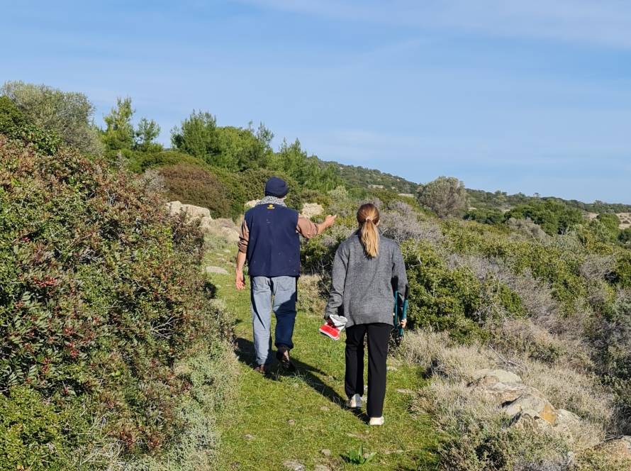 Hiking Trails Aegina